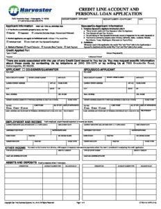 Consumer Loan