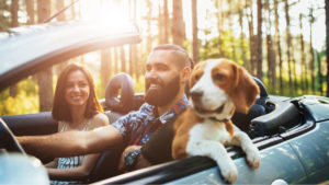 people with dog in vehicle