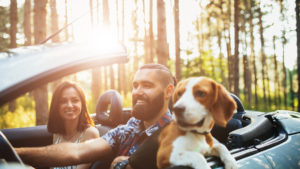 people with a dog in a vehicle