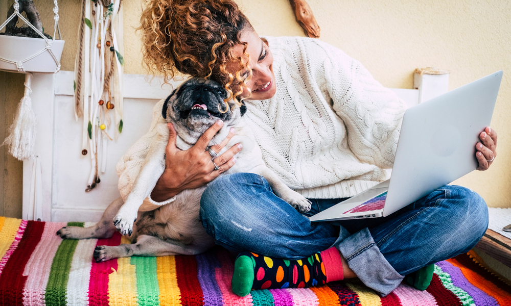 person holding dog while on laptop